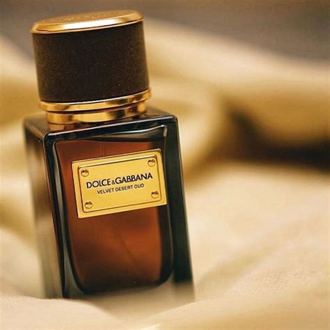 velvet oud dolce gabbana|dolce and gabbana oud.